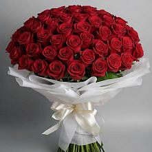 Букет 101 Красная роза Блэк Мэджик в Камышлове Свердловская область