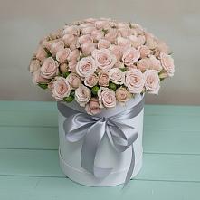 Цветочная композиция из Розы в шляпной коробке #REPLACE_PRED# Камышлове Свердловская область