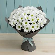Букет цветов из:  Хризантемы #REPLACE_PRED# Камышлове Свердловская область