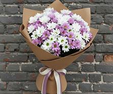 Букет цветов из:  Хризантемы #REPLACE_PRED# Камышлове Свердловская область