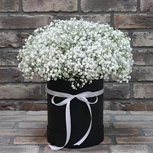 Цветочная композиция из Гипсофила в шляпной коробке в Камышлове Свердловская область