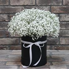 Цветочная композиция из Гипсофила в шляпной коробке в Камышлове Свердловская область