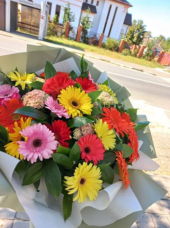 Букет цветов из: Герберы в Камышлове Свердловская область
