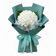 Букет цветов из:  Гортензия #REPLACE_PRED# Камышлове Свердловская область